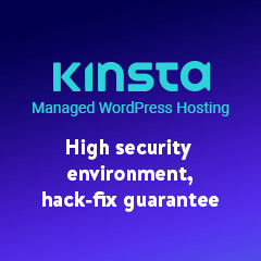 Kinsta hosting